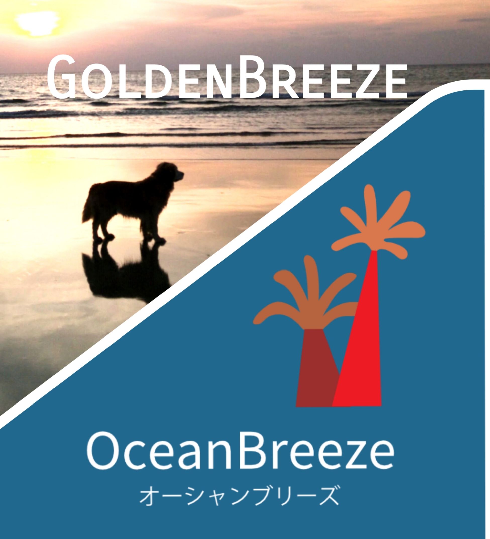 宮崎県日南市でSUPなどのマリンスポーツやアクティビティならOceanBreeze